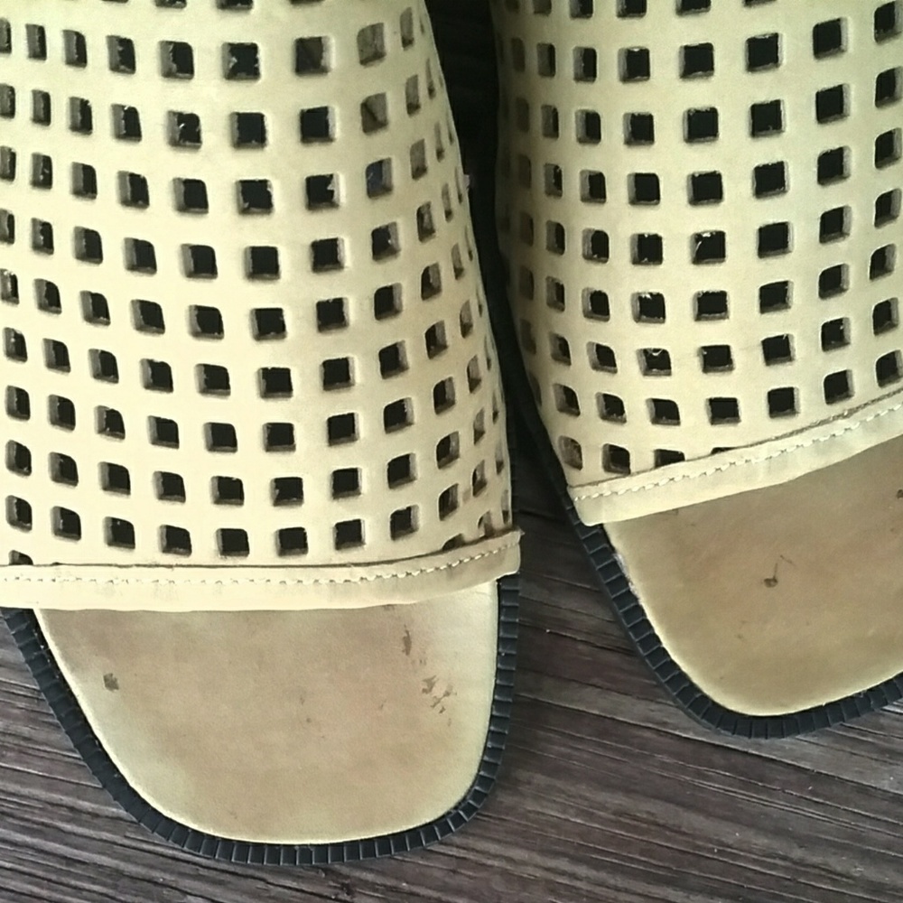 Calico Mules - Picture 3 of 7